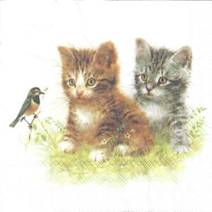 Szalvéta - Cicák és kis madár