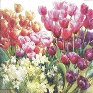 Szalvéta - Tulipán és nárcisz