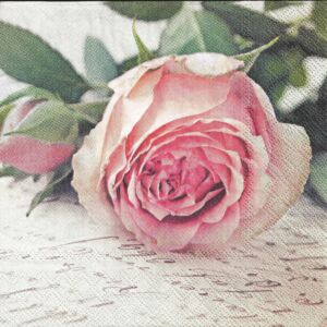 Szalvéta - Rózsa