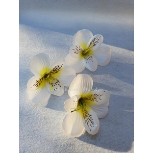 Asztromélia virágfej - fehér