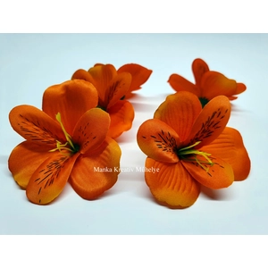Asztromélia virágfej - narancs