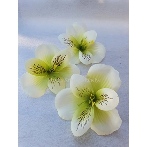 Asztromélia virágfej - zöld