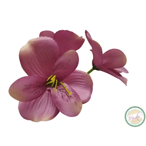 Asztromélia virágfej - mályva