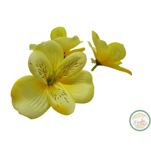 Asztromélia virágfej - sárga