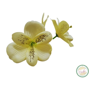 Asztromélia virágfej - vanília