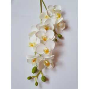 Gumi orchidea szálas - fehér
