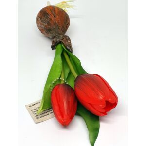 Hagymás gumi tulipán - piros