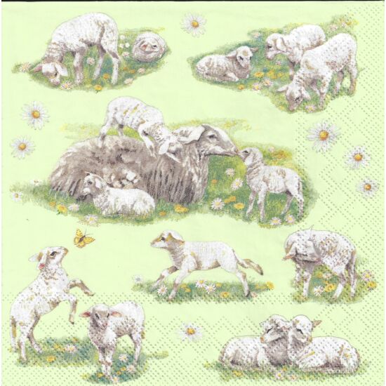 Szalvéta - Bárányok