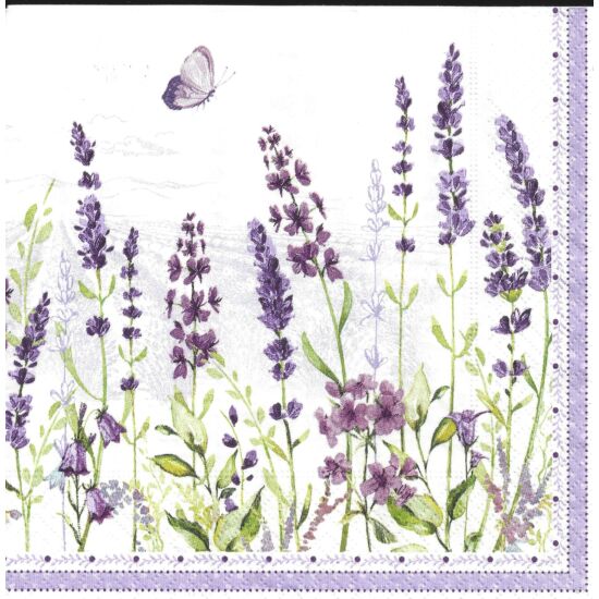 Szalvéta - Lavender field