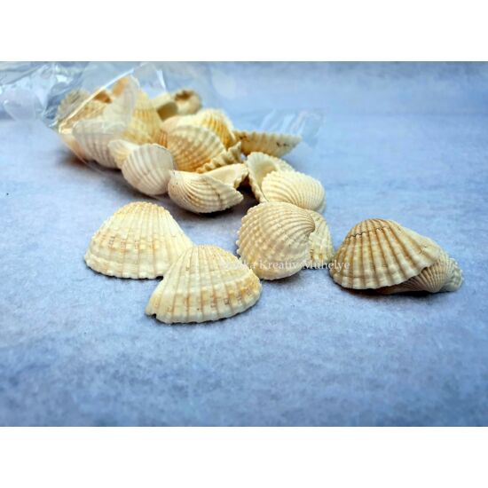Krém kagyló 2-3 cm 10dkg/csomag