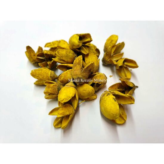 Bakuli termés - feh. sárga