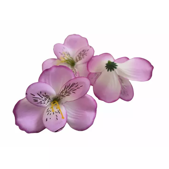 Asztromélia virágfej - lila