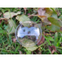 Kép 3/3 - Műanyag lapos gömb
