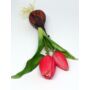 Kép 1/2 - Hagymás gumi tulipán - ciklámen