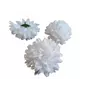 Kép 2/2 - Krizantém virágfej - 11 cm - Fehér