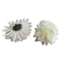 Kép 1/2 - Krizantém virágfej - 11 cm - Krém