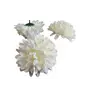 Kép 2/2 - Krizantém virágfej - 11 cm - Krém